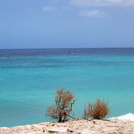 Casa Sony El Διαμέρισμα *